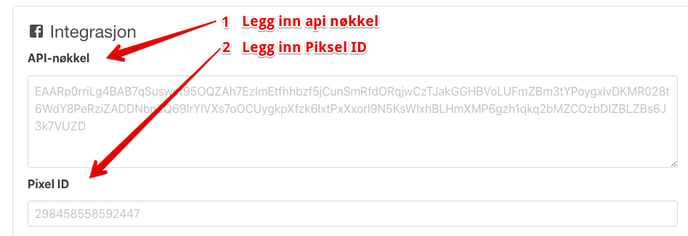 bild8