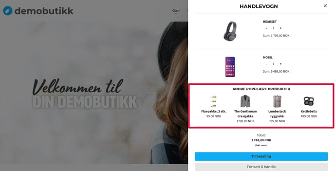 Andra-populære-produkter